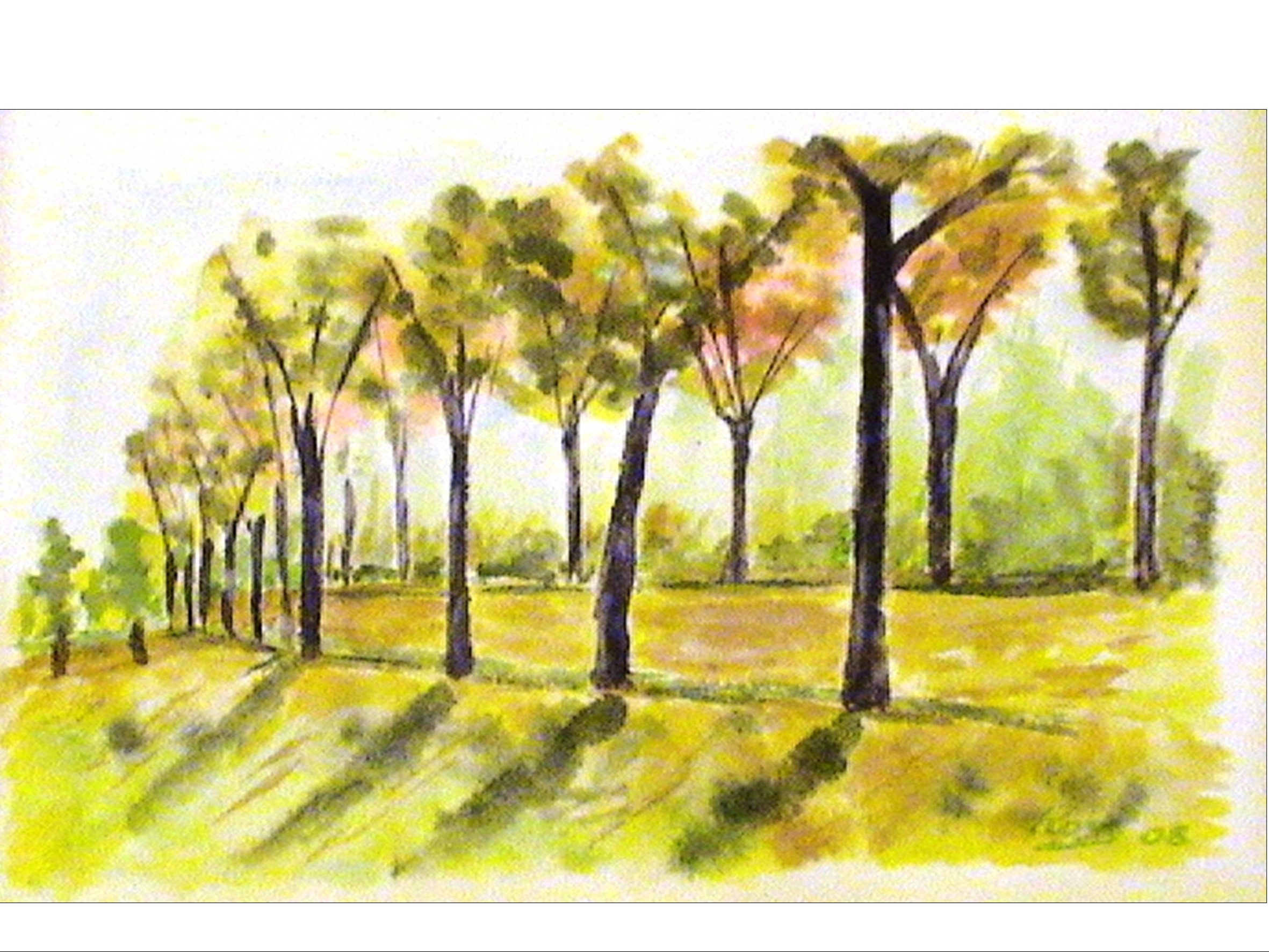 AUTUNNO AL PARCO