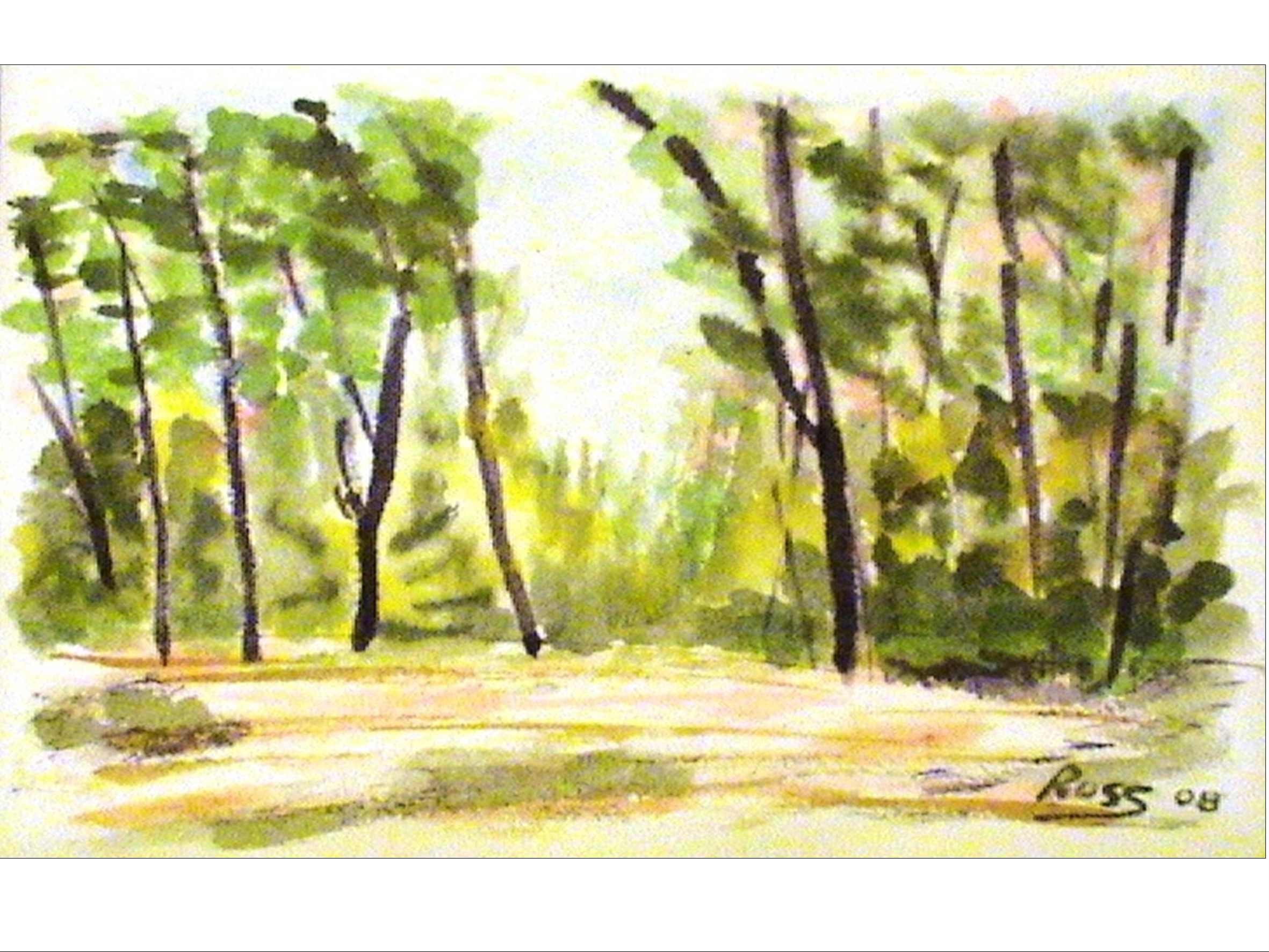 AUTUNNO NEL PARCO