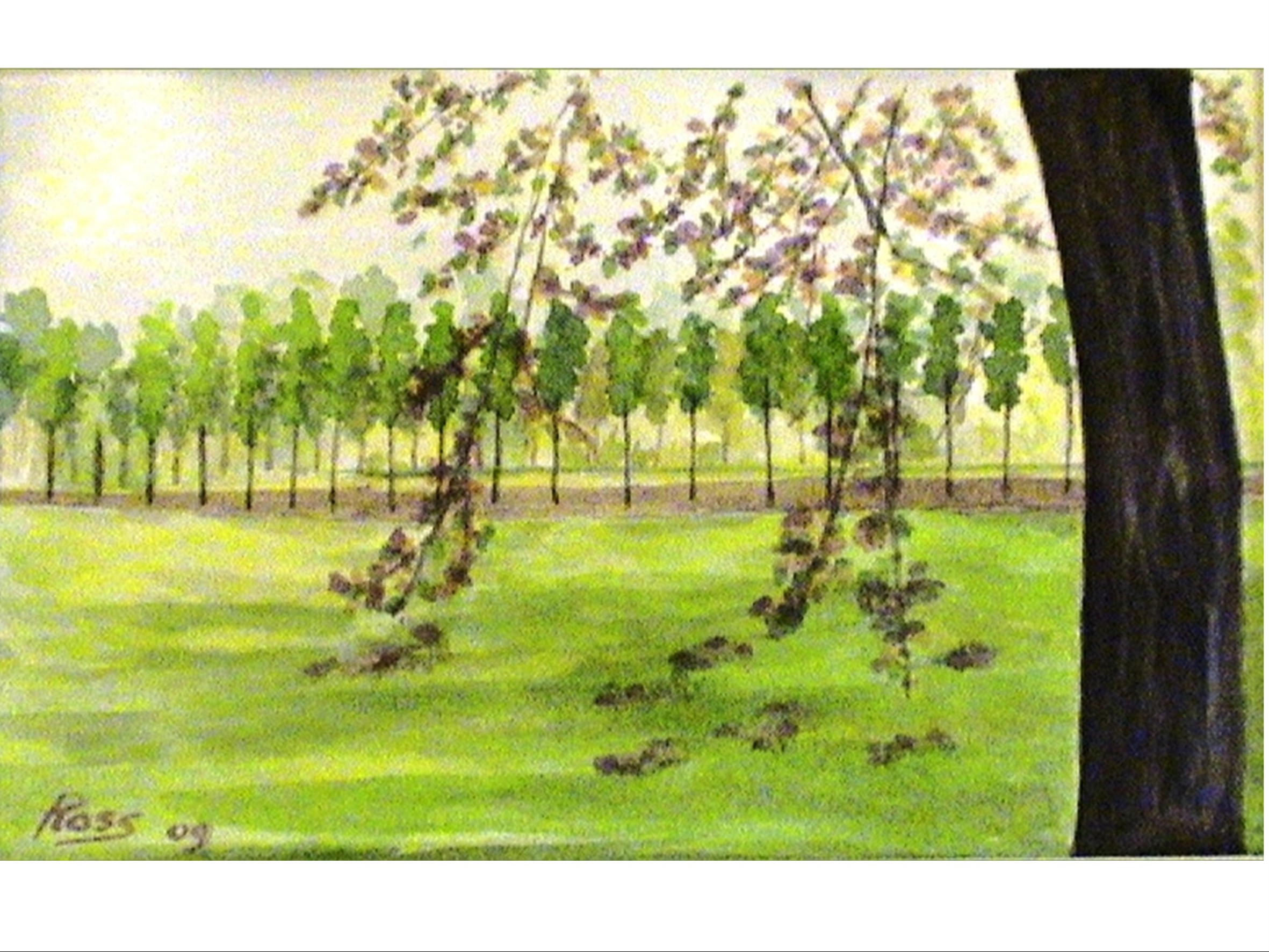 AUTUNNO NEL PARCO