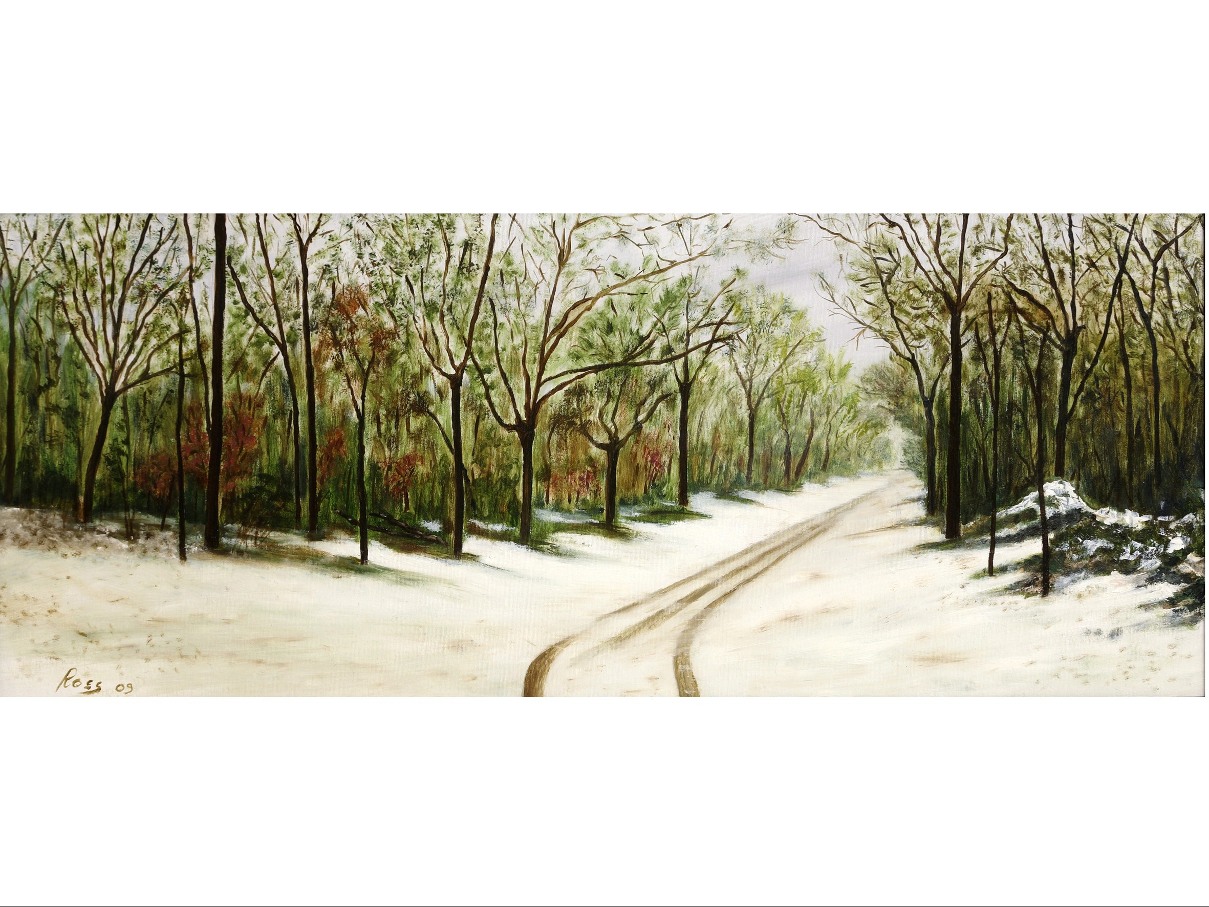 NEVICATA AL PARCO