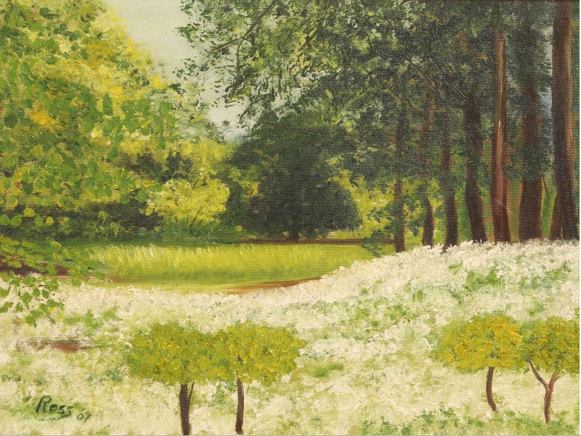 PRIMAVERA