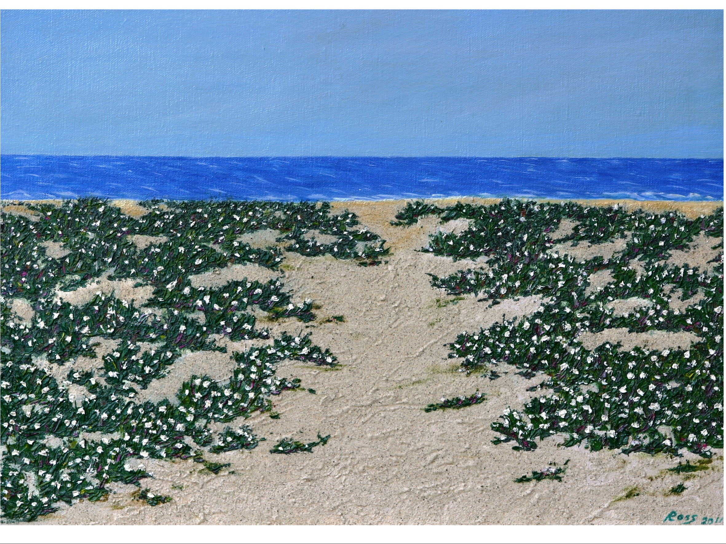 FICO DEGLI OTTENTOTTI (Sardegna)