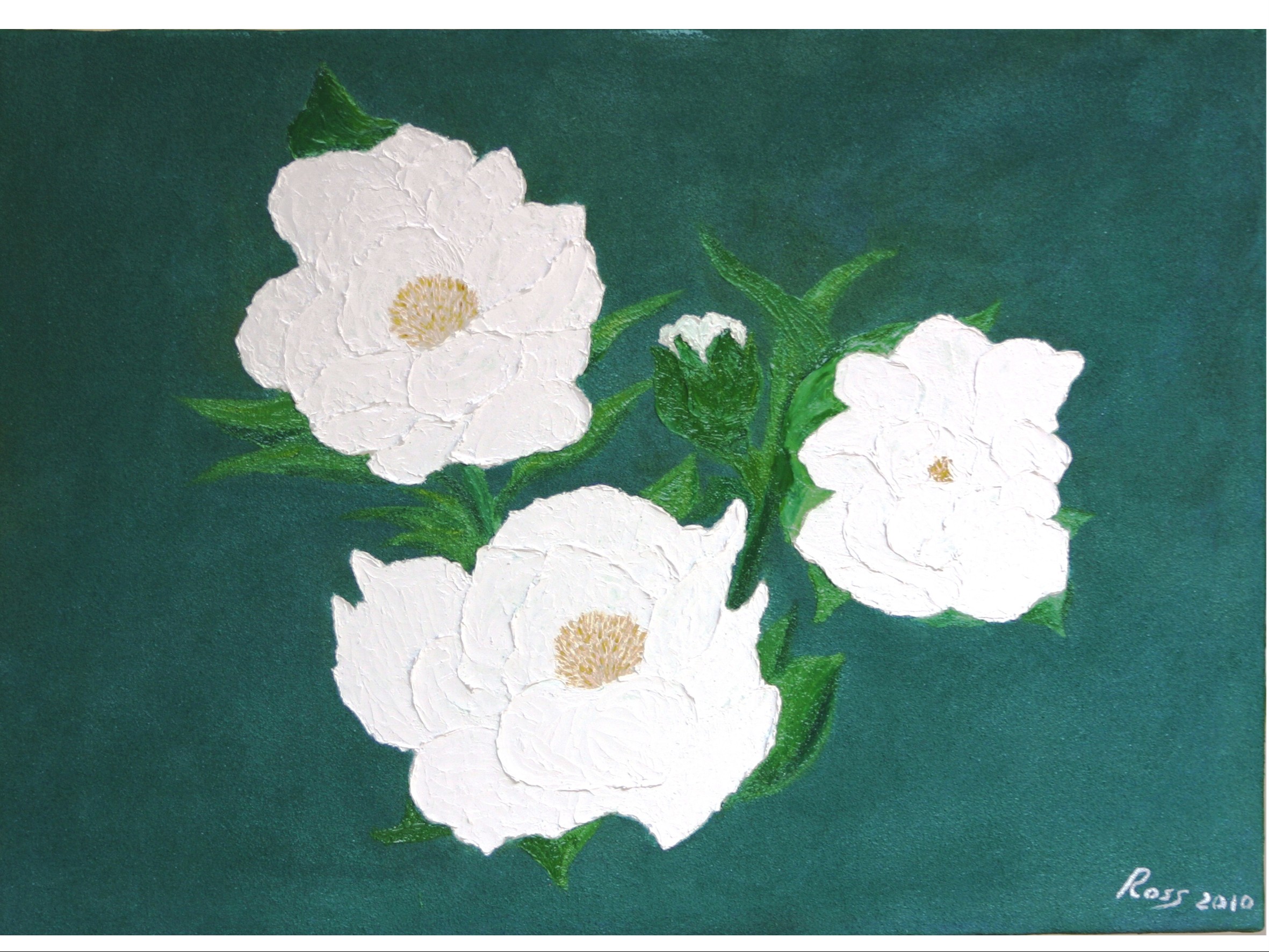 PEONIE BIANCHE