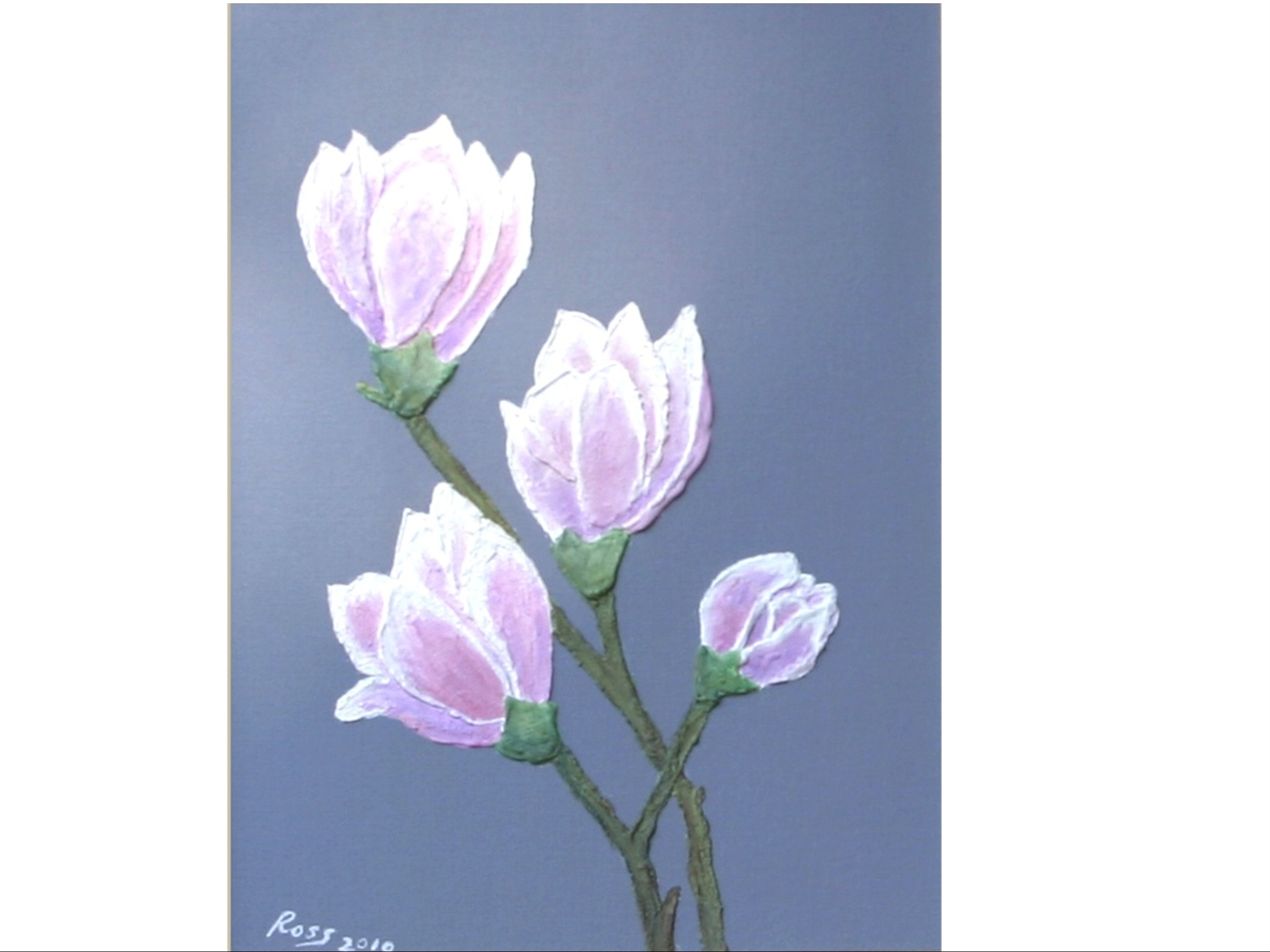 MAGNOLIA