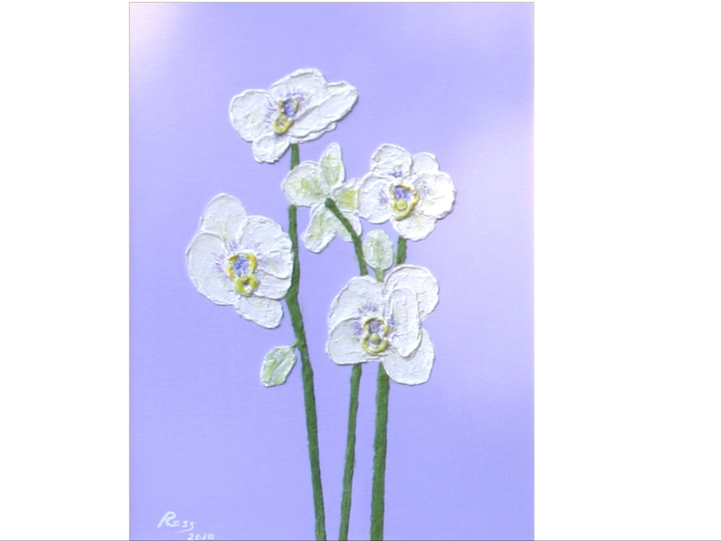 PHALEANOPSIS