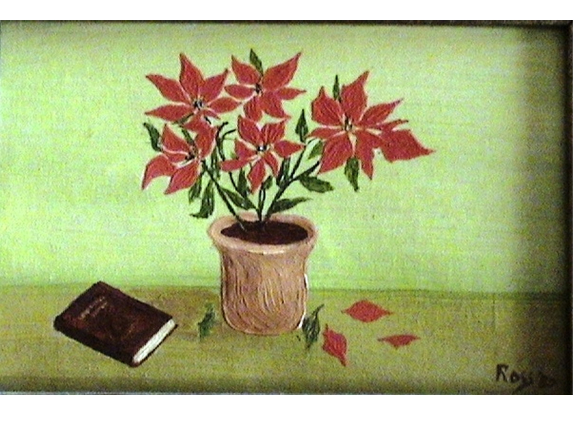 STELLA DI NATALE
